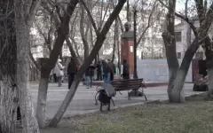 Волонтёры Петропавловска ухаживают за памятниками своего города