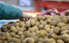 Цены на молодой картофель шокировали алматинцев