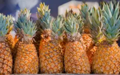 При каких заболеваниях лучше исключить ананасы из рациона питания