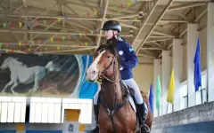 В ВКО прошла конная выставка «Шығыс арғымағы»