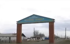 Все тои - в городе: сельчане Павлодарской области массово отказались от алкоголя