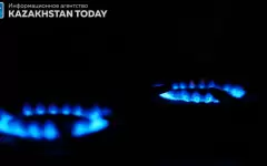 Трое малолетних детей погибли от отравления газом в Жамбылской области