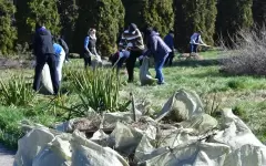 Таза Қазақстан: более 6 млн казахстанцев участвовали в эко-акции