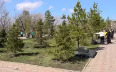 Восемь тысяч тонн мусора вывезли во время субботника в Карагандинской области