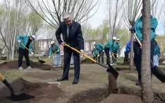 Глава государства посадил дерево в парке «Жастар»