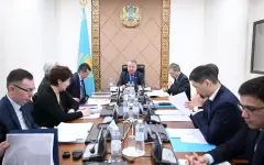 Вопросы внедрения Реестра казахстанских товаропроизводителей обсуждают в Сенате