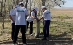 В приграничном районе ВКО очистили родник Шыннет ата