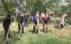 «Таза Қазақстан»: в Жетысайском районе высадили 25 тысяч саженцев