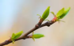 Прогноз погоды в Казахстане на 22 апреля