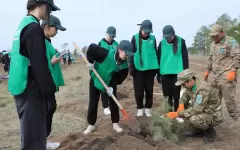 850 саженцев высадят школьники в Актюбинской области