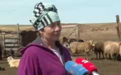 Казахские обычаи стали родными для жительницы Улытау
