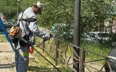 Поддержание чистоты в общественных местах Шымкента становится традицией