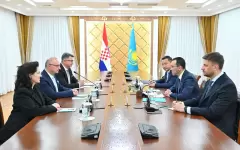 Cпикер Сената встретился с министром иностранных и европейских дел Хорватии