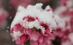 Снег, дожди и жара до +31°С: какой будет погода в Астане, Алматы и Шымкенте