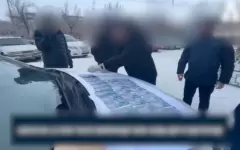 В сфере экологии Антикор зарегистрировал 70 коррупционных преступлений