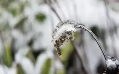 Заморозки до -6°C и грозы в ближайшие дни охватят Казахстан