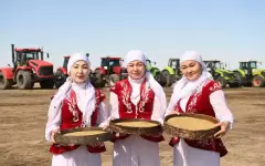 В Приаралье начался сев риса