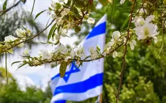Иерусалим в огненной блокаде: Израиль просит помощи