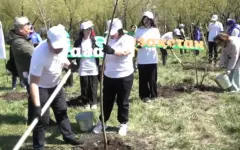 Новая аллея Единства появилась в парке Петропавловска