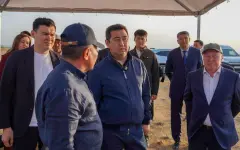 Айдарбек Сапаров поручил обеспечить строгий контроль за качеством обработок полей против саранчи