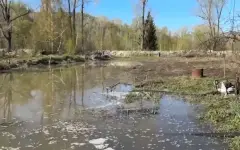 Угрозу паводка сняли в районе Алтай в ВКО