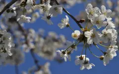 Дождь в Алматы, +26 в Шымкенте: какой будет погода в мегаполисах Казахстана в пятницу