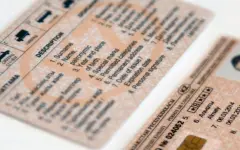 Не менее 500 водительских прав продало руководство спецЦОНа в Шымкенте