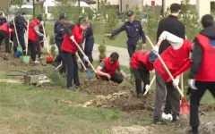 Более 150 деревьев высадили в парке в Кокшетау