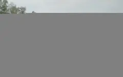 Международный конный марафон «Ұлы дала жорығы» пройдёт в Алматинской области