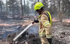 Лесные пожары в Израиле взяты под контроль