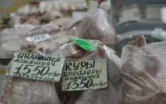 Почти ₸3 млрд выделили на закуп соцпродуктов в СКО