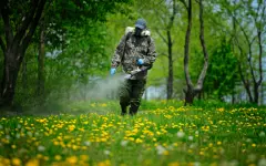 На 1,4 миллиона тенге оштрафован подрядчик за качество дезинфекции в Туркестанской области