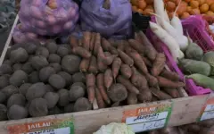 Цены на продукты держат под контролем власти Павлодарской области