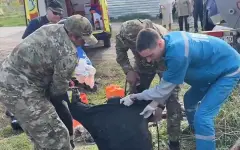 Двух мужчин достали из септика в Костанайской области