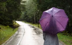 Дождливая погода сохранится в ряде областей Казахстана