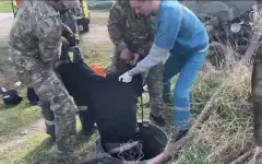 Двое рабочих едва не задохнулись в септике в Костанайской области