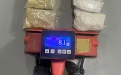 Международный канал поставки наркотиков пресечен в Казахстане