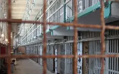В Британии судья ООН принудила женщину к рабскому труду