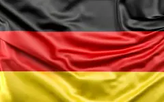 Партию Альтернатива для Германии официально признали экстремистской