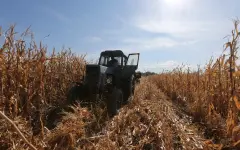 Более миллиона гектаров земли в Казахстане отдадут под новые культуры: что планируют посеять