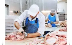 Рост производства мяса в Казахстане: уверенная динамика развития отрасли