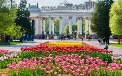 Синоптики рассказали, какой будет погода в Астане, Алматы и Шымкенте с 5 по 7 мая