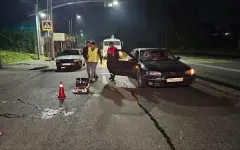 Водитель Toyota сбил двух человек на пешеходном переходе в Алматы