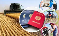 Программа «С дипломом в село» обеспечит жильём 2,8 тыс. молодых специалистов в 2025 году
