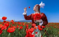 Зарубежные эксперты назвали тюльпан брендом Жамбылской области: в регионе прошла научная конференция