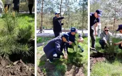 Студенты и педагоги из Костаная поддержали республиканский экочеллендж