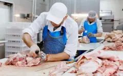 Казахстан увеличил производство и экспорт мяса