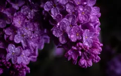 Прогноз погоды в Казахстане на 7 мая