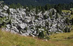 Камнепад в районе популярного маршрута в горах Алматы: погибла девушка