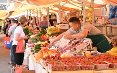 Праздничная продовольственная ярмарка пройдет в Астане